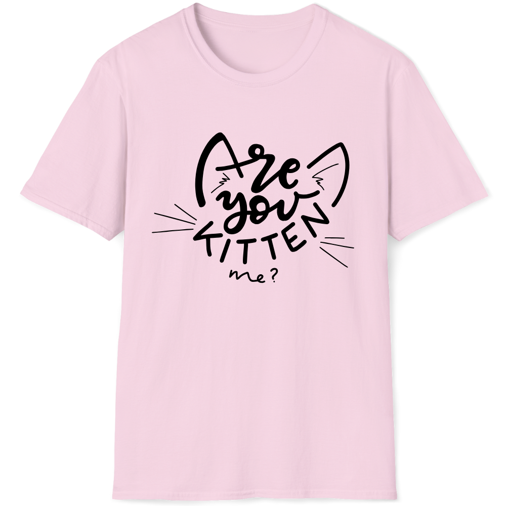 Are you (=^･^=) kitten me